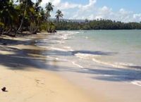 Beach of the Hotel IGUANA LAS TERRENAS - Las Terrenas - Dominican Republic